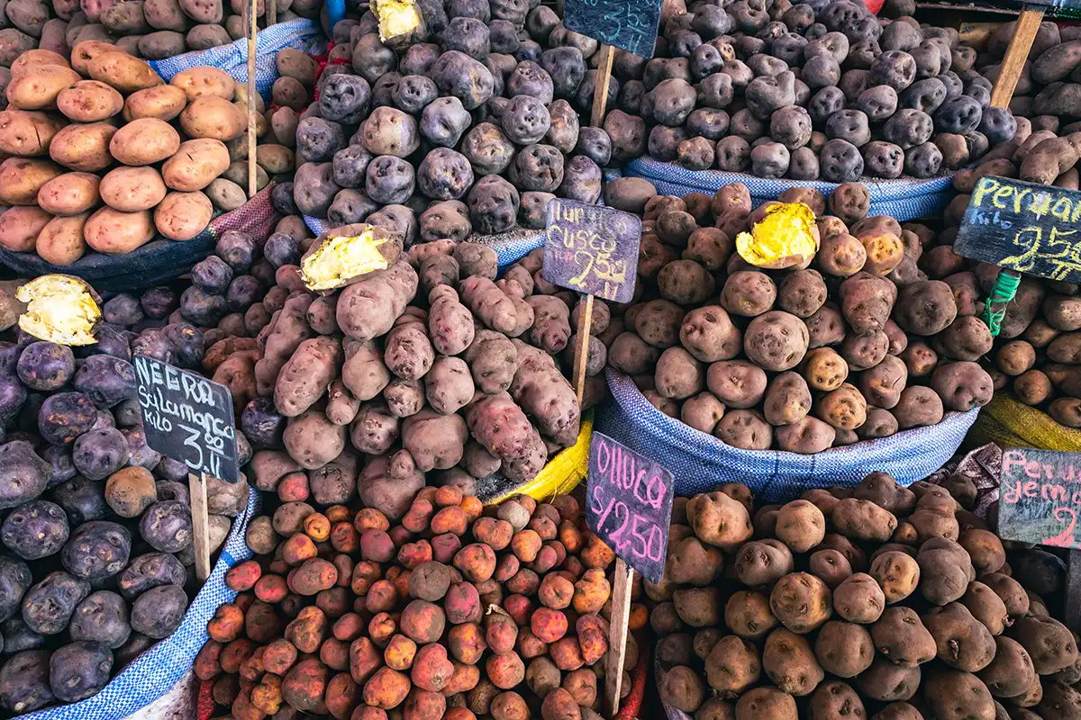 Dozens of native Peruvian potato varieties — purple, burgundy, yellow, and pink — piled in market bins with handwritten price tags.